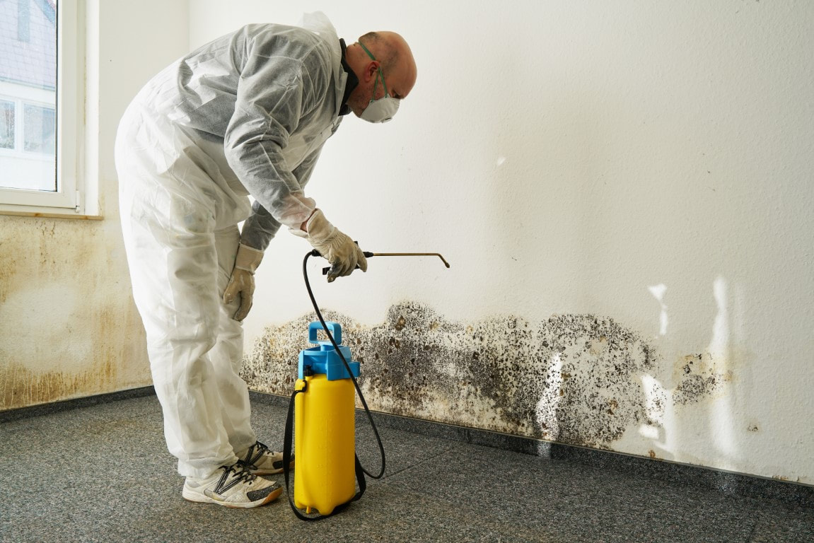 An image of Basement Repair Services in Havertown, PA